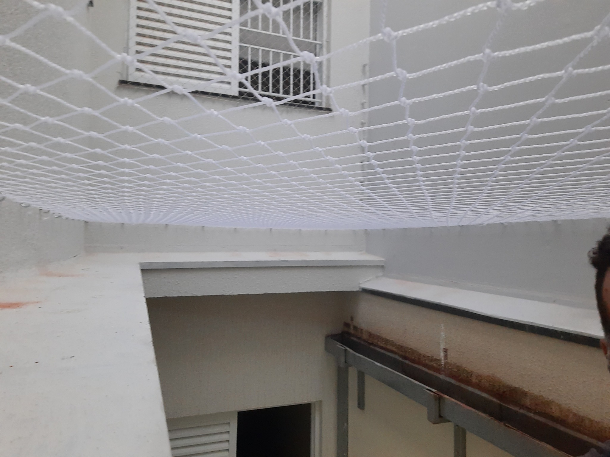 490976777_1227947255998266_4602230320692386888_n